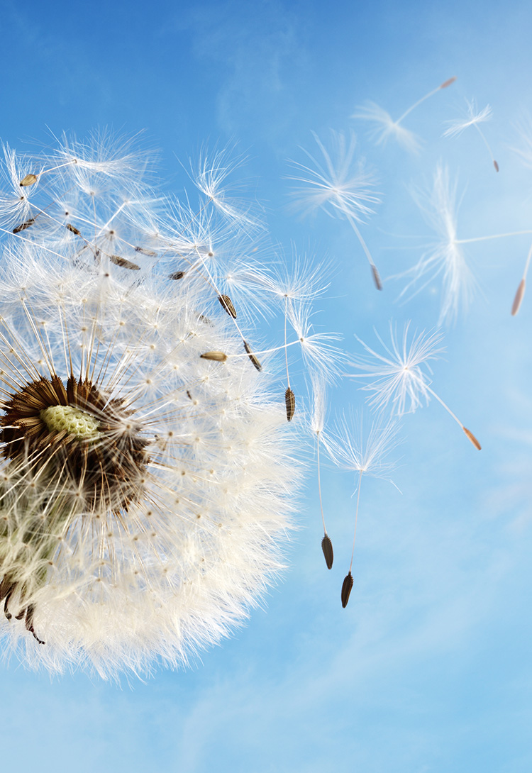 Z6尊龙·凯时(官网)人生就是博!