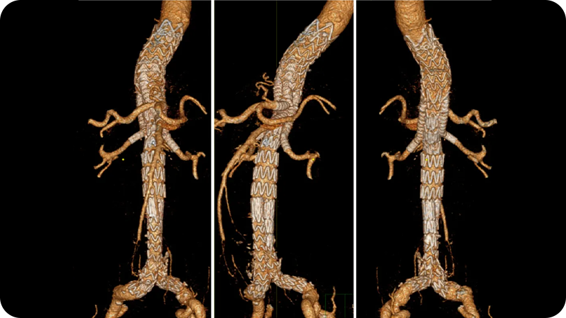 Z6尊龙·凯时(官网)人生就是博!