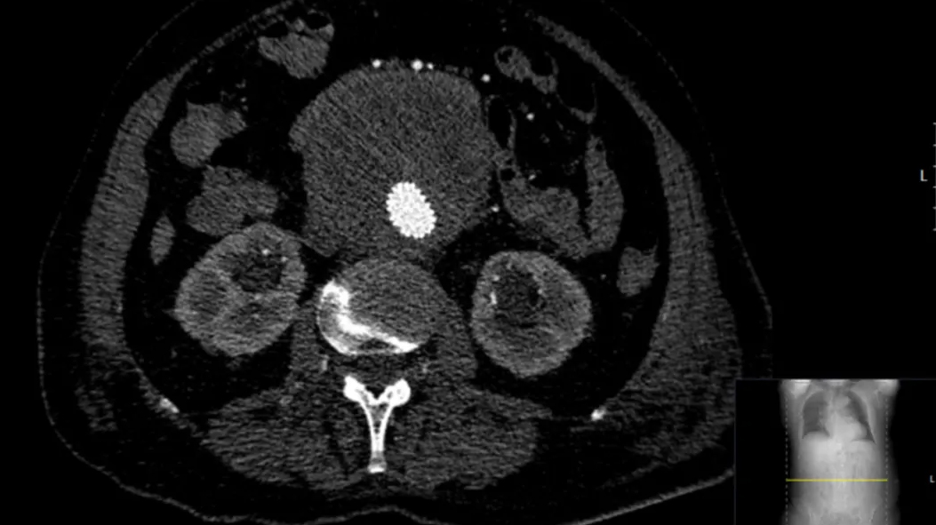 Z6尊龙·凯时(官网)人生就是博!