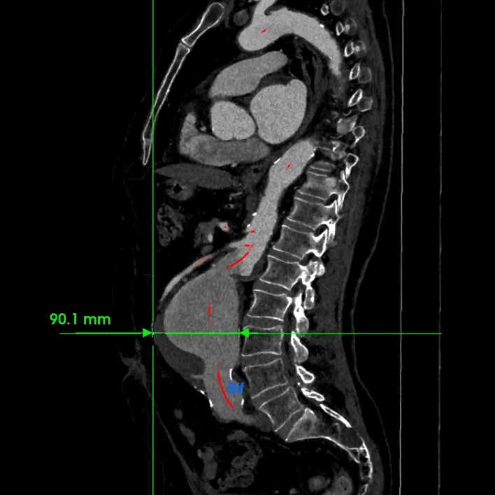 Z6尊龙·凯时(官网)人生就是博!